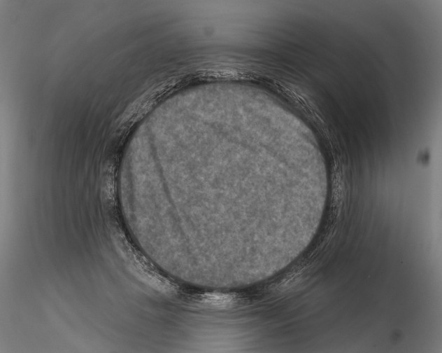 X0000114650457200912011116