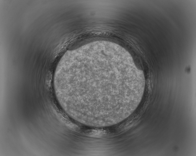 X0000114650458200912011116