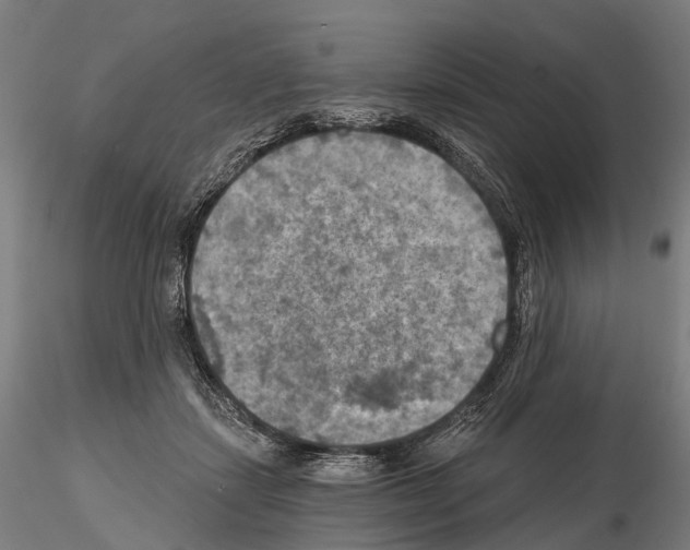 X0000114650459200912011116