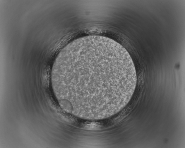 X0000114650460200912011116