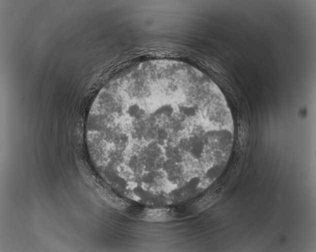 X0000114650461200912011116