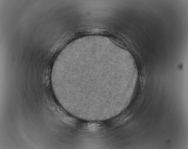 X0000114650462200912011116