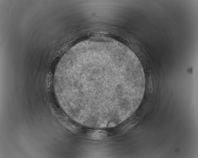 X0000114650463200912011116