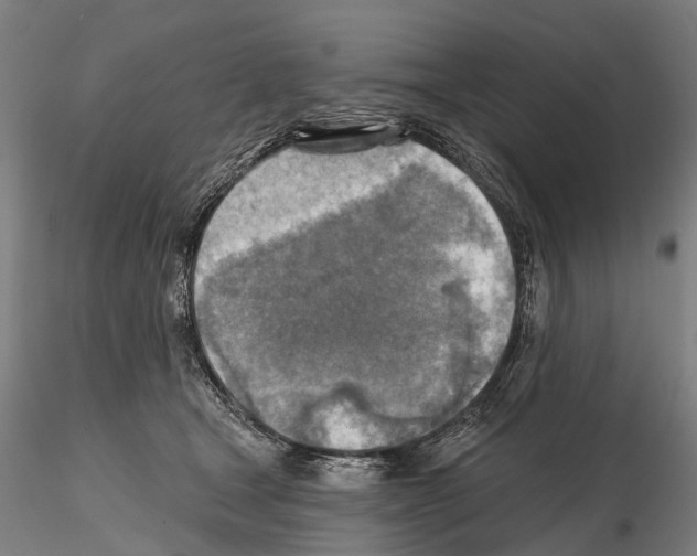 X0000114650465200912011116