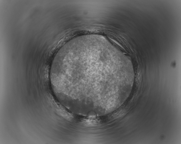 X0000114650466200912011116