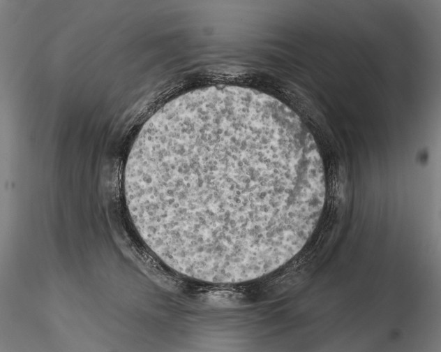 X0000114650468200912011116