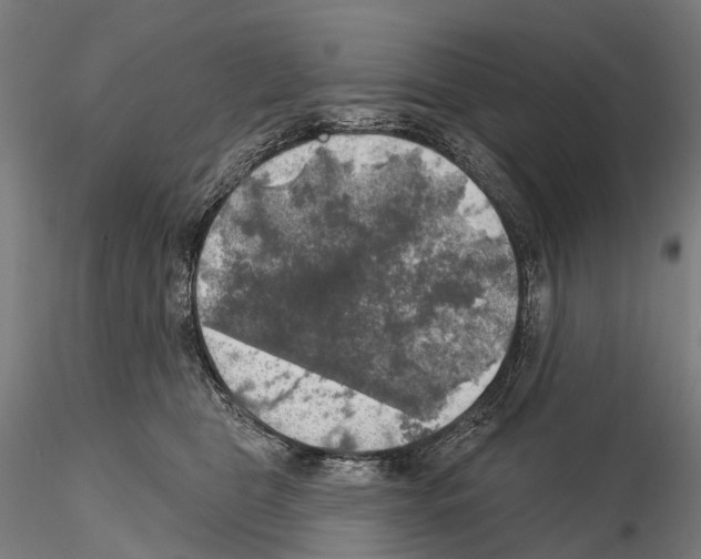 X0000114650469200912011116