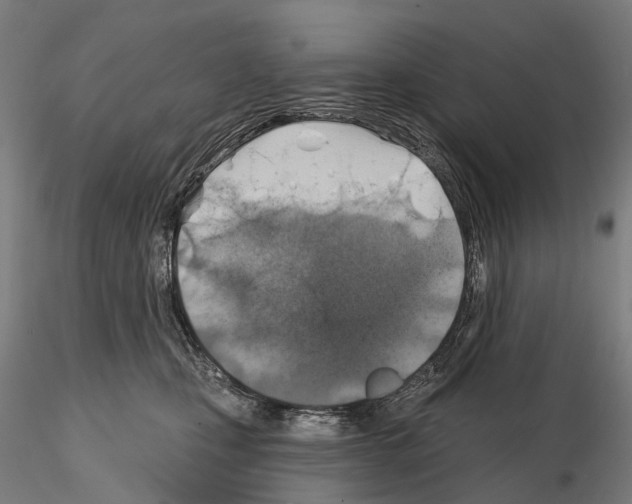 X0000114650471200912011116