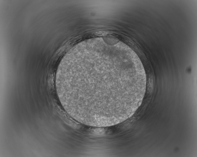 X0000114650473200912011116