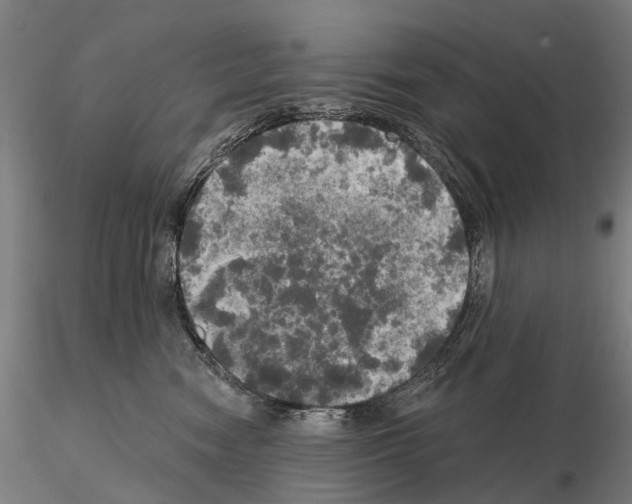 X0000114650474200912011116