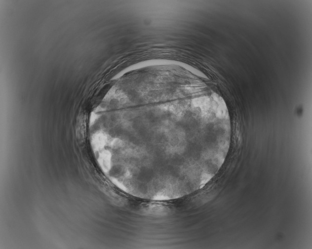 X0000114650475200912011116