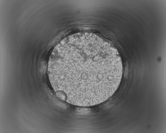 X0000114650476200912011116