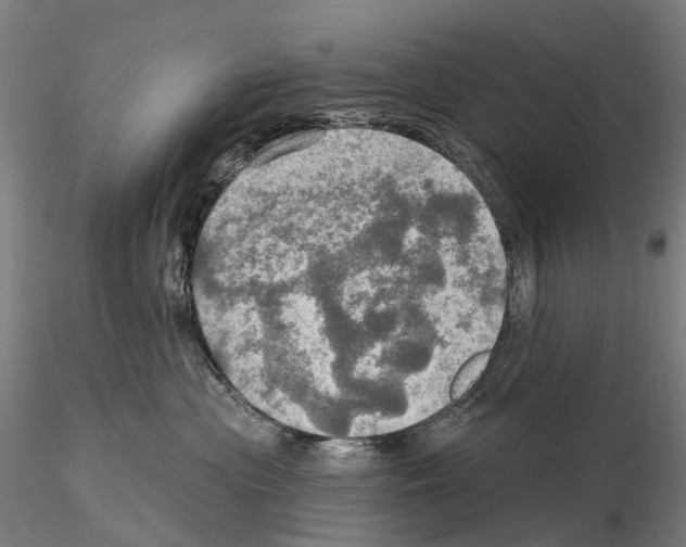 X0000114650477200912011116