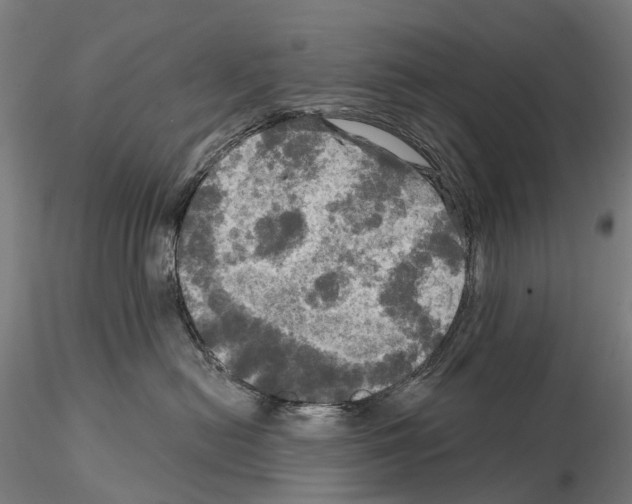 X0000114650478200912011116