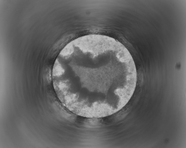 X0000114650479200912011116