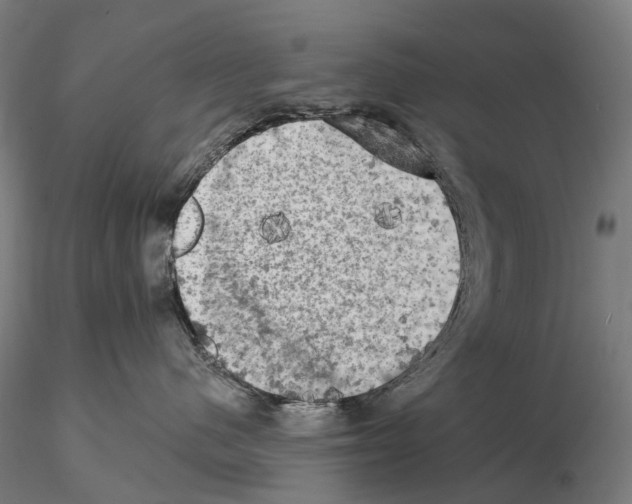 X0000114650480200912011116