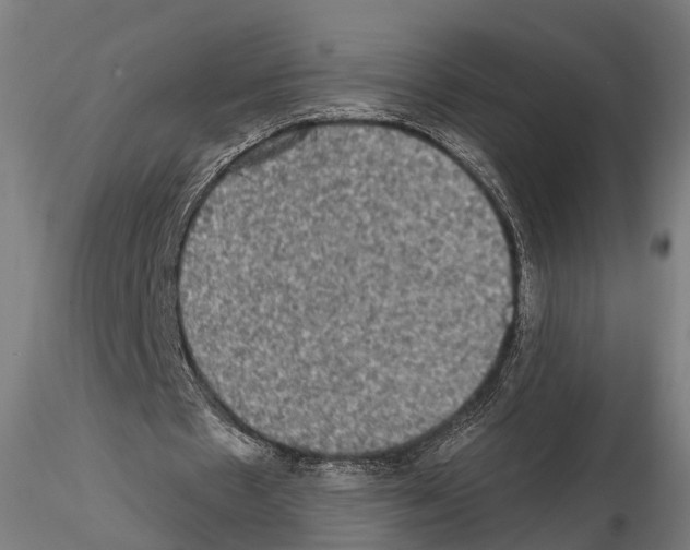 X0000114650481200912011115