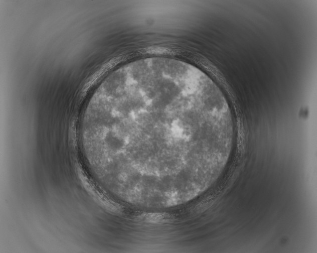 X0000114650482200912011115