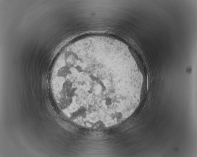 X0000114650483200912011115