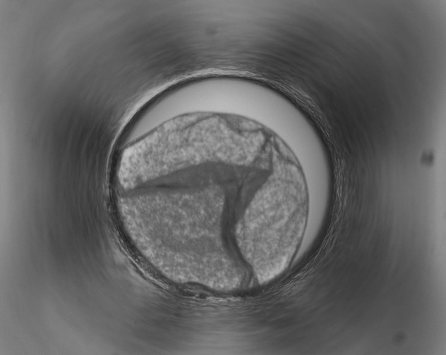 X0000114650484200912011115