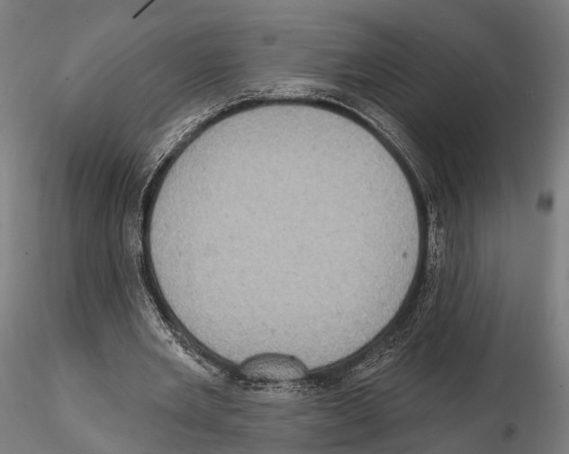 X0000114650485200912011115