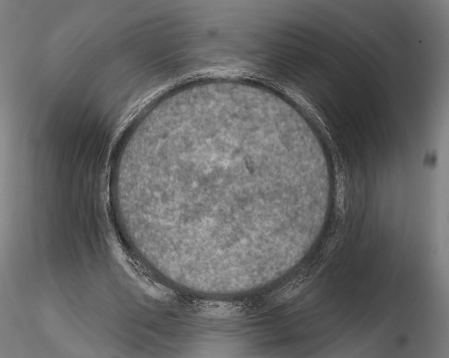 X0000114650486200912011115