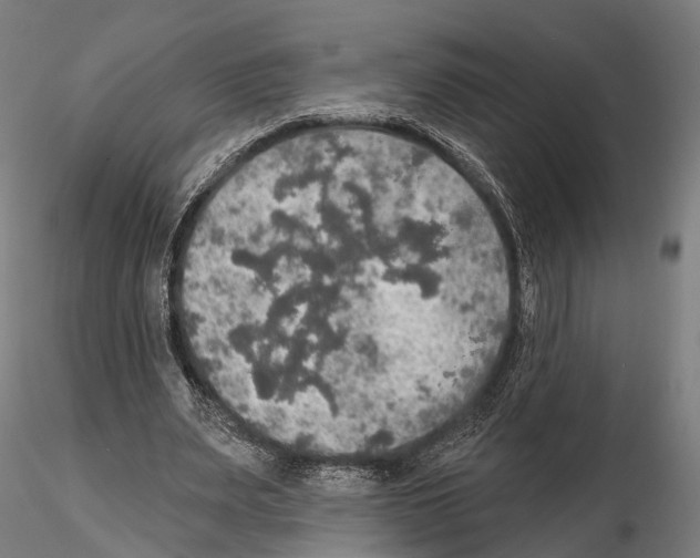 X0000114650487200912011115