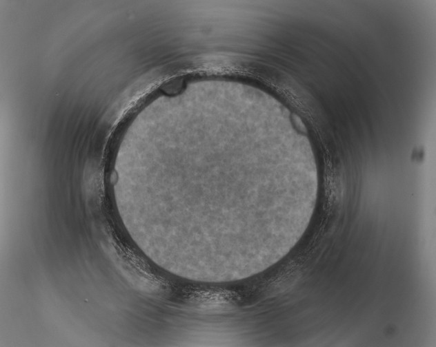 X0000114650488200912011115