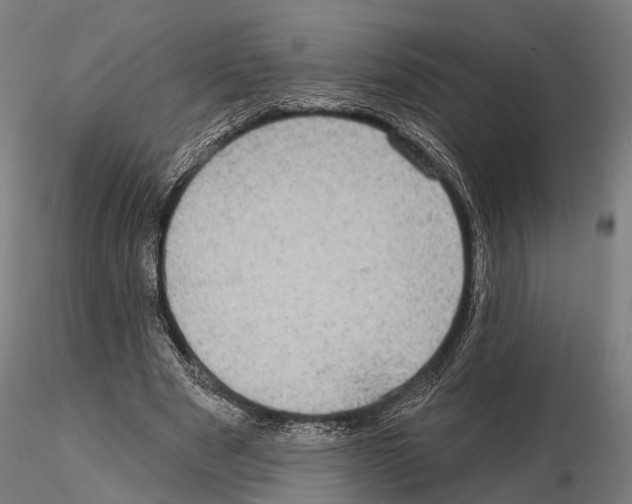 X0000114650489200912011115