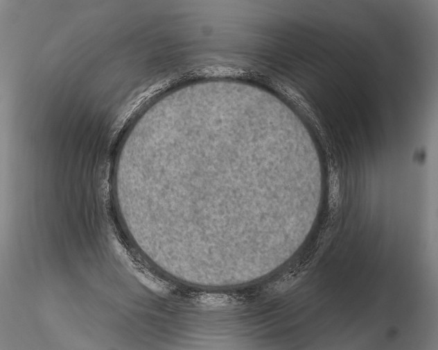 X0000114650490200912011115