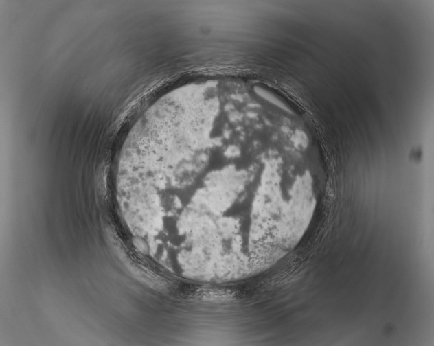 X0000114650491200912011115