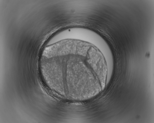 X0000114650492200912011115