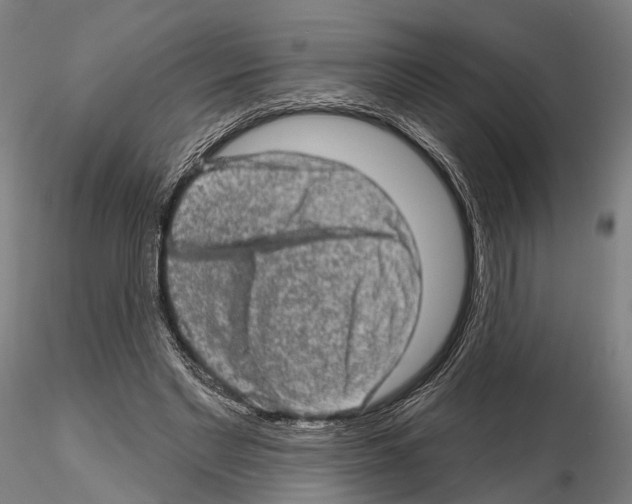 X0000114650493200912011115