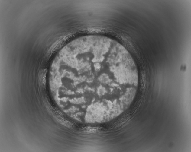 X0000114650495200912011115