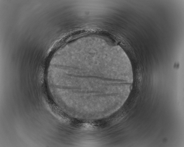 X0000114650496200912011115