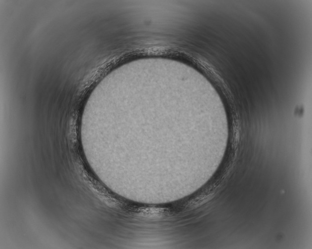 X0000114650497200912011115