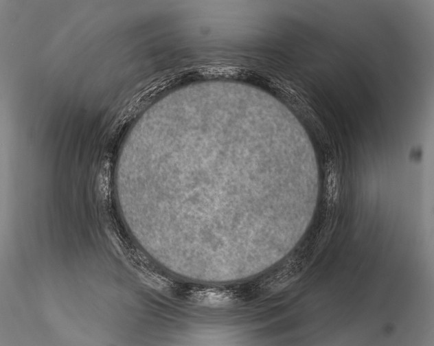 X0000114650498200912011115