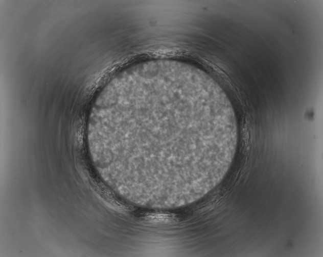 X0000114650499200912011115