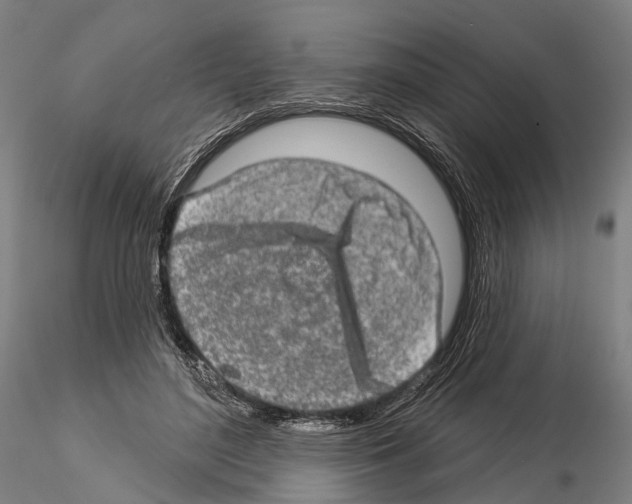 X0000114650500200912011115