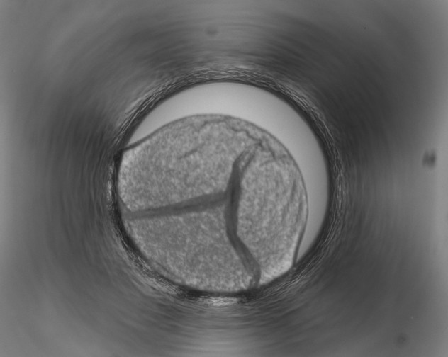 X0000114650501200912011115