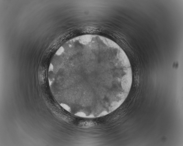 X0000114650503200912011115