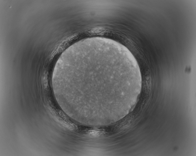 X0000114650504200912011115