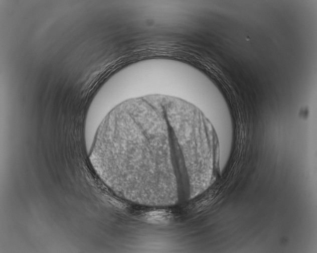 X0000114650505200912011115