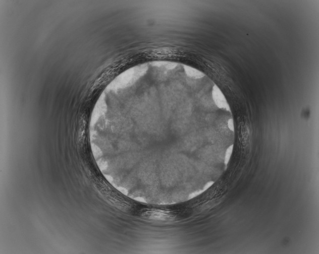 X0000114650507200912011115