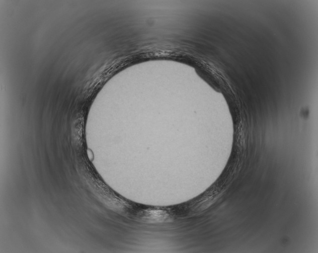 X0000114650509200912011115