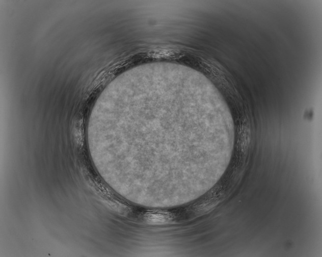 X0000114650510200912011115