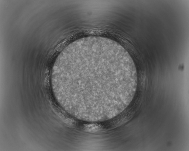 X0000114650511200912011115