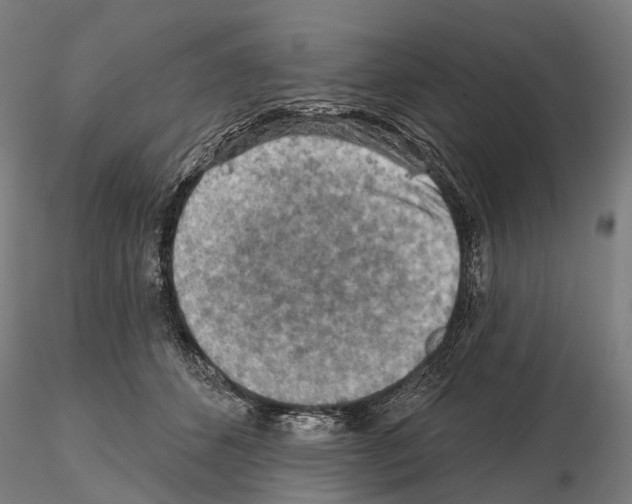 X0000114650512200912011115