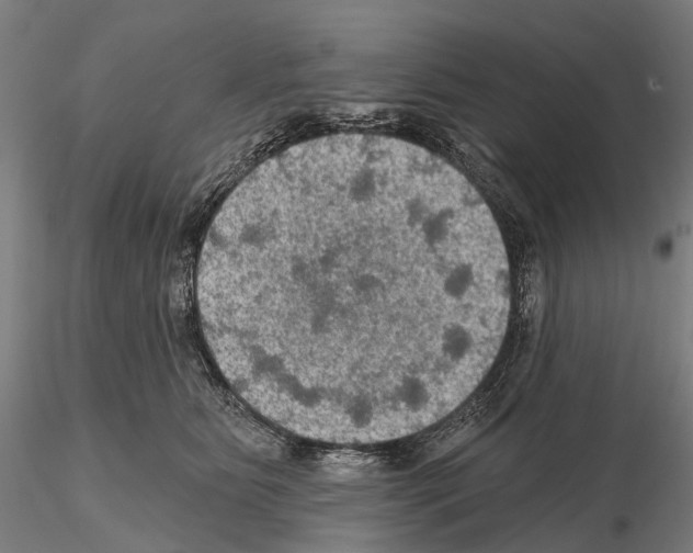 X0000114650515200912011115