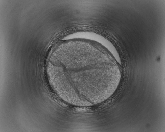 X0000114650516200912011115